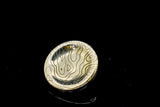 Pendant/Keyring Coin Insert