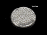 Deep Etching Laser design